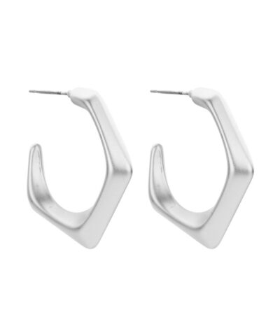 DOB123 OORBELLEN ZILVERKLEURIG MAT